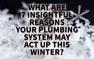 WHAT ARE 7 INSIGHTFUL REASONS YOUR PLUMBING SYSTEM MAY ACT UP THIS WINTER?   